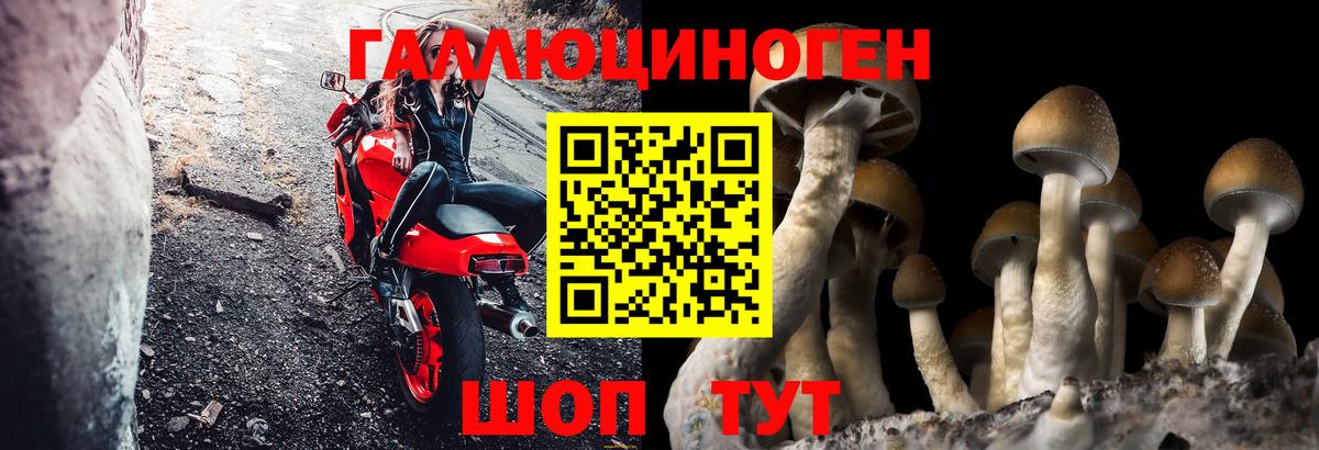 Галлюциногенные грибы прущие грибы  Галлюциногенные грибы мухоморы  Вход с VPN  Старая Купавна 