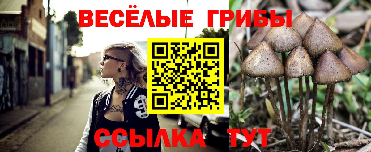 Галлюциногенные грибы MAGIC MUSHROOMS Старая Купавна