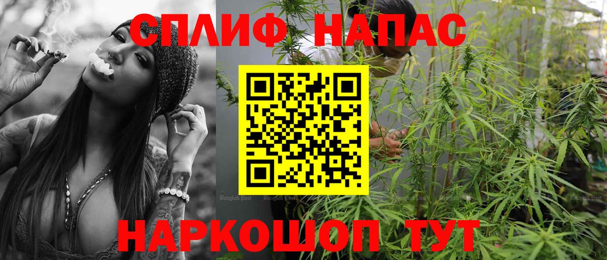 МЕФ Старая Купавна